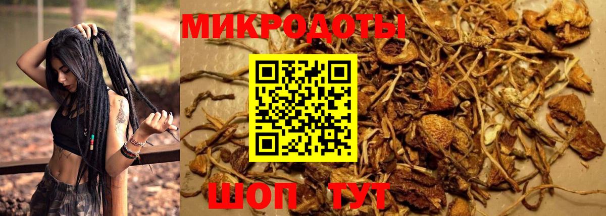 Гатчина  Псилоцибиновые грибы Magic Shrooms  Вход с VPN 